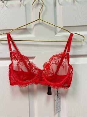 Bluebella Red Lace Underwire Bra with Sheer Embroidery